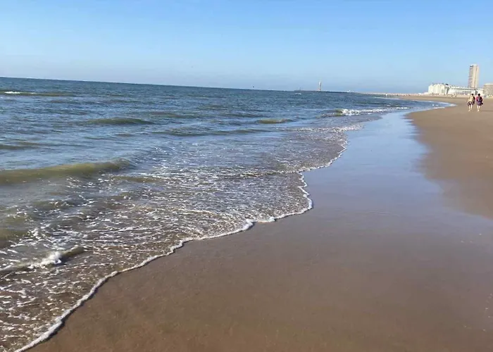 D'oville D'ostende * 奥斯滕德