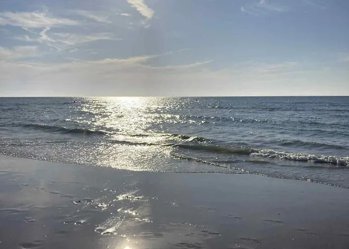 D'oville D'ostende 公寓 奥斯滕德