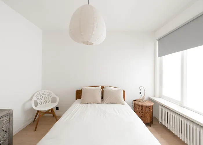 D'oville D'ostende 公寓 奥斯滕德